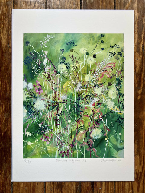 Somerset hedgerow