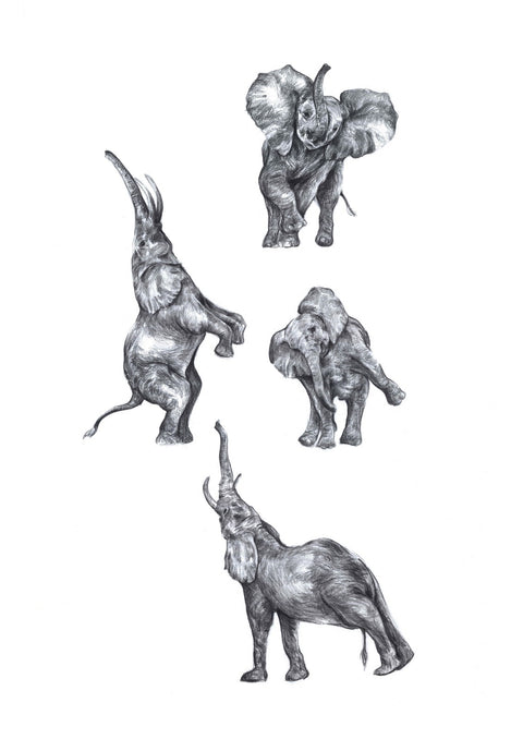 While the humans are away the elephants will play