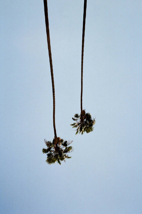 Los Angeles #1