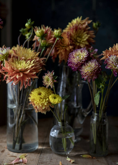 Dahlias in Glass