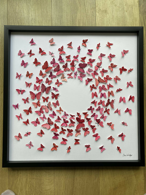 Paper Butterflies - The Journey