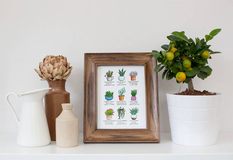 'Succulents' Watercolour Print