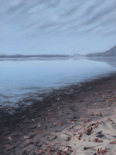 Morrow Pond During Drawn Down
