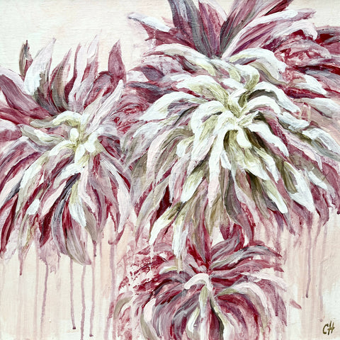 Dahlias