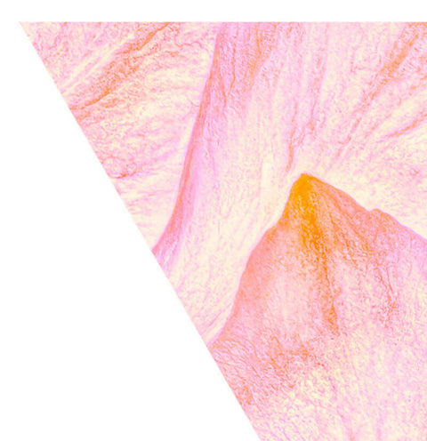 Flower Power - Giclée Print