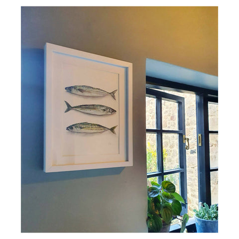 Mackerel