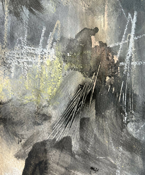 Celestial Shadows