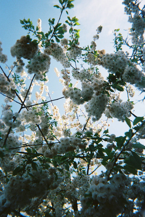 London #2