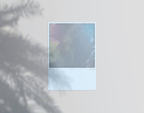 Am I Dreaming 03
