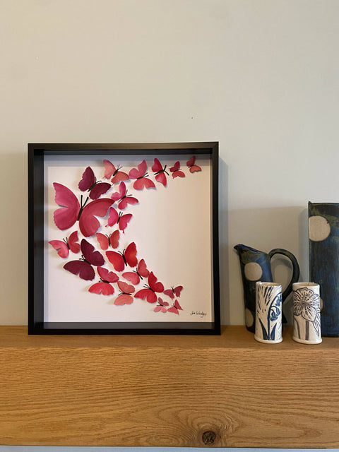 Butterfly Box - Sweeping pinks