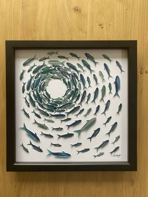 Shoaling fish - study 1