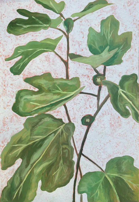 Summer garden figs