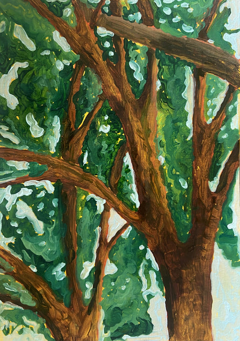 Summer trees in Tuscany 1