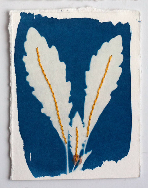 Hand-sewn cyanotype with leaves