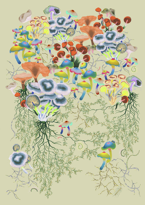 The Fungi Realm