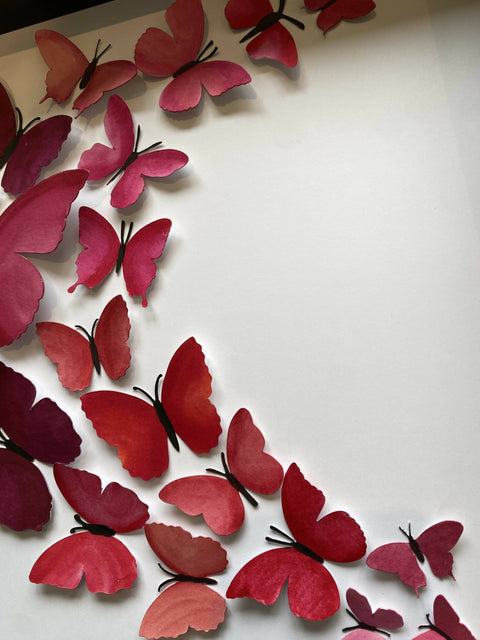 Butterfly Box - Sweeping pinks