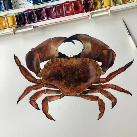 Brown Crab Giclée Print