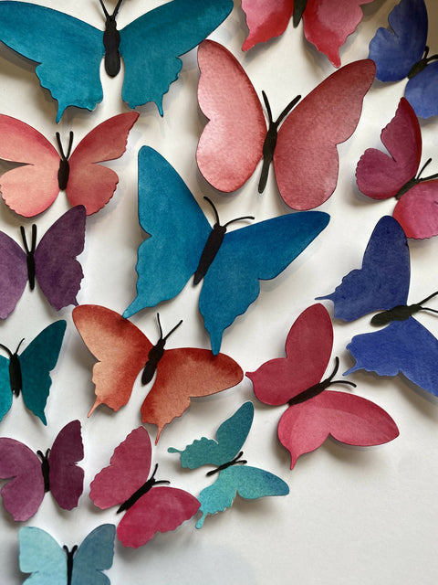 Butterfly Box - Comourful Bouquet