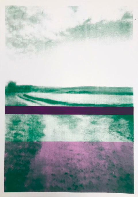 The Gallops: Green with Purple Bands