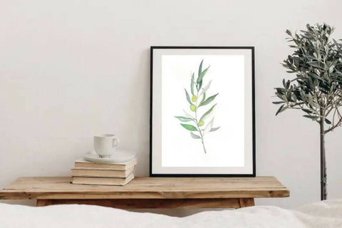 Olive Branch