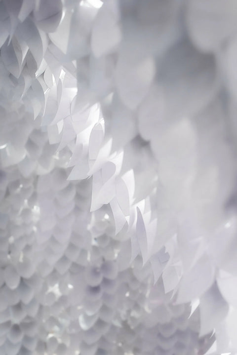 SOTA x Anna Berry Collaboration