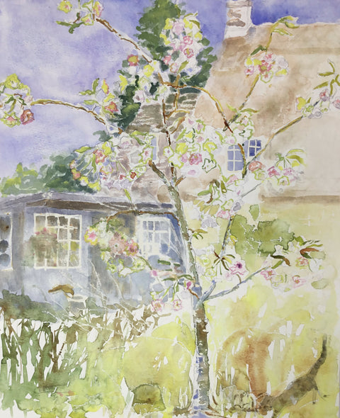 Flowering Cherry - Fragrant Cloud