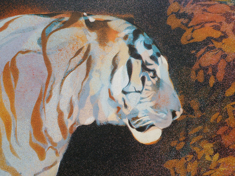 Tiger in The Bear Rainforest