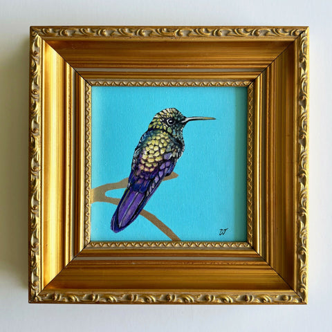 Hummingbird Purple Tail