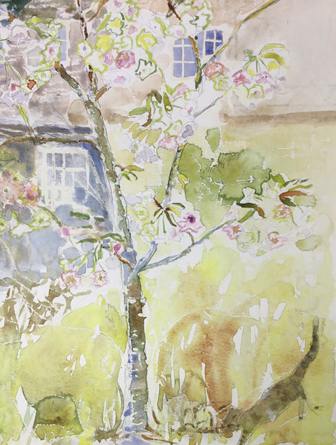 Flowering Cherry - Fragrant Cloud