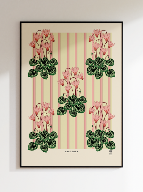 Cyclamen