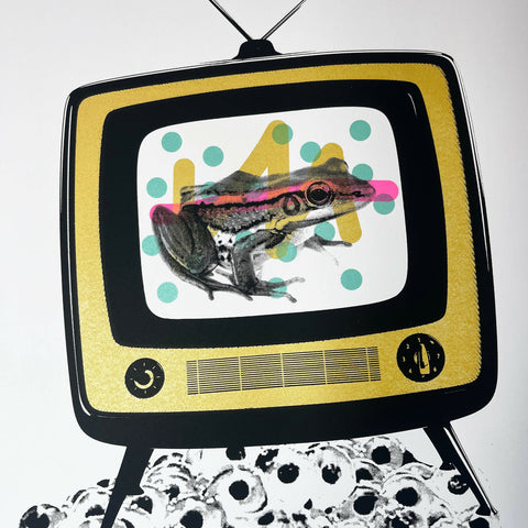 Froggy-Vision-Screen-Printed-Poster-Close-Up