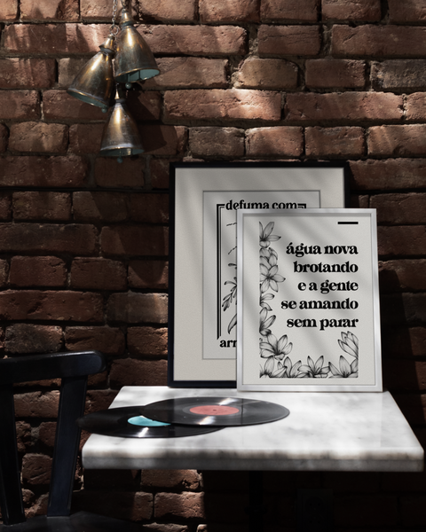 Zephyranthes candida (White Rain Lily)