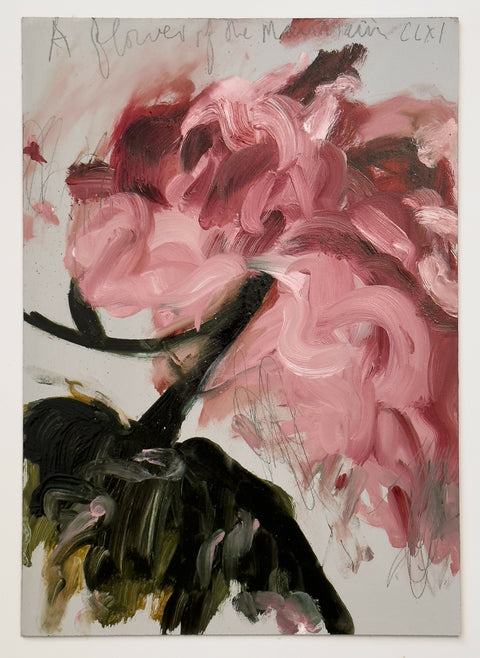 A Flower of the Mountain 161