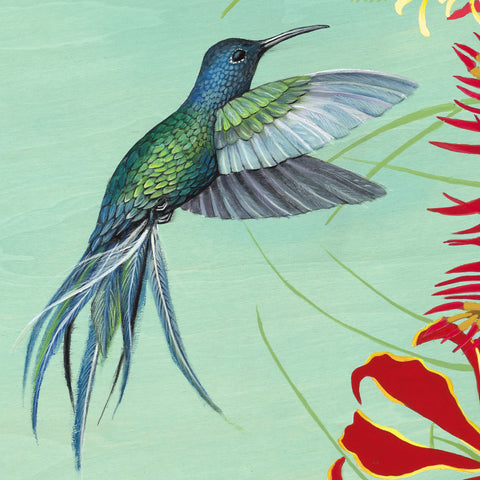 The Birds of Pipa 1 section 1