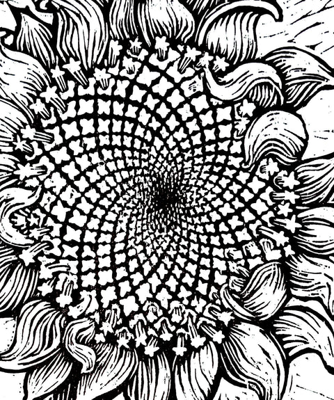 Sunflowerhoovering