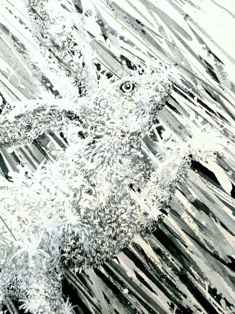 Hare in the Rain