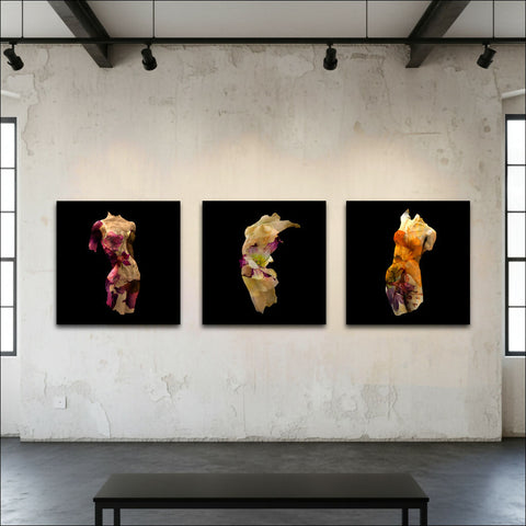 The Healing Gardens #02