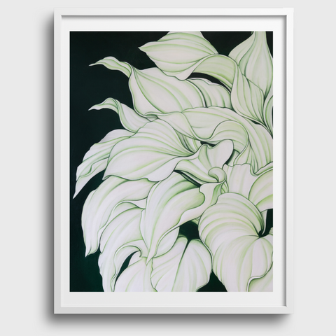 A Plantain Lily in Malibu, CA Print