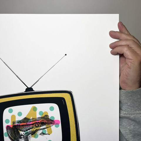 Froggy-Vision-Screen-Printed-Poster-Right-Close-Up