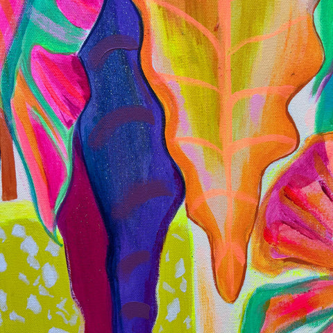 Alocasia Revelation