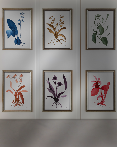 Vanilla planifolia, 2024