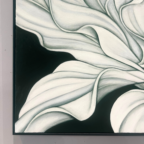 Plantain Lily at Night