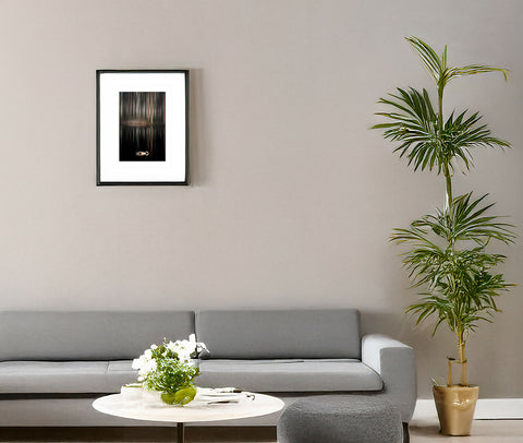 DSC_1557-Bearbeitet-Bearbeitet