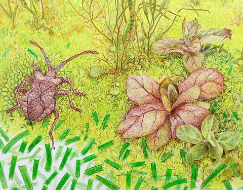 Oasis in the AstroTurf