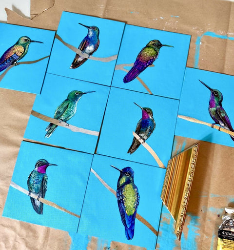 Hummingbird Purple Tail