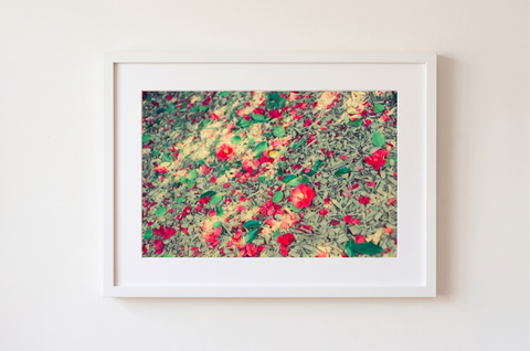 Forest Floor Flowers