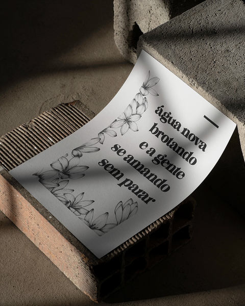 Zephyranthes candida (White Rain Lily)