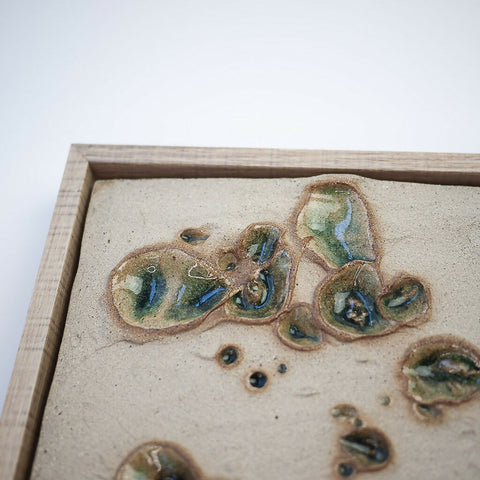 Terra Cognita. Cenote.