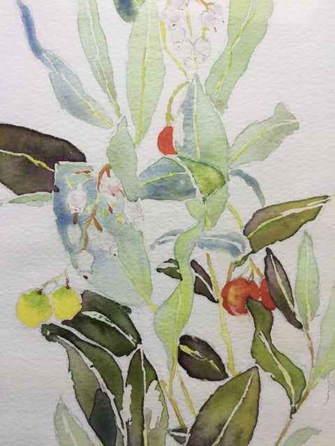 Autumn - The Strawberry Tree