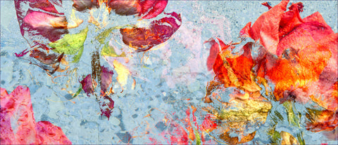 Detail of red and orange roses against a light blue background in an impressionistic style - floral wall art by wendy farrow